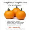 Cucurbita Pepo - Pumpkin Pie Pumpkin 10 Seeds view 1