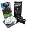 Natura Uralis Premium Belgorod Chalk Chunks | 17oz of White Chalk Chunks - Amazing Crunch, Satisfying Earthy, Velvety and Firm Texture, ASMR Sensation, Natural Calcium Carbonate view 1