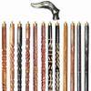 A.A.Nauticals Wooden Walking Stick Cane for Men & Women-Dog Handle, Vintage Handmade Personalized & Collapsible, Gift for Men (12 Walking Sticks Design, Black Antique Brass Head/Handle)-AANWS42-WS5 view 1