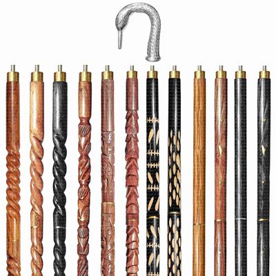 A.A.Nauticals Wooden Walking Stick Cane for Men & Women-Swan Handle, Vintage Handmade Personalized & Collapsible (12 Walking Sticks Design, Silver Polished Brass Head/Handle)-AANWS40-WS10