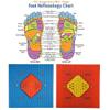 CHOUDHARY Acupressure New Mat With Cooper Combination of Acupressure, Magnets & Pyramids Helps in Stress Relief And Other Diseases Reflexology Foot Mat view 2