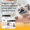 FELO LYSINE - L-Lysine Powder for Cats 300 mg (Thomas Pet Earlier), 1 Kg or 2.2 lb view 3