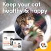 FELO LYSINE - L-Lysine Powder for Cats 300 mg (Thomas Pet Earlier), 1 Kg or 2.2 lb view 4