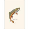 Earth Sky + Water - Brook Trout Notecard Set - 8 Blank Cards with Envelopes view 1