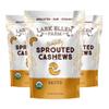 Lark Ellen Farm Sprouted Salted Cashews - Non GMO, Healthy Keto Snacks, Paleo, Gluten Free, Vegan, Certified Organic Nut, Sugar Free, High Protein, Kosher, Low Glycemic, 10 oz - 3 pack view 1