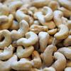 Lark Ellen Farm Sprouted Salted Cashews - Non GMO, Healthy Keto Snacks, Paleo, Gluten Free, Vegan, Certified Organic Nut, Sugar Free, High Protein, Kosher, Low Glycemic, 10 oz - 3 pack view 4