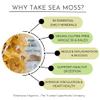 IRISH Sea Moss from Ireland | WILDCRAFTED | Chondrus Crispus | Raw Irish Moss | Golden view 3