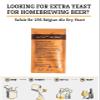 Craft A Brew - Safale BE-256 Yeast - Belgian Ale Dry Yeast - For Belgian & Strong Ales - Ingredients for Home Brewing - Beer Making Supplies - [1 Pack] view 4
