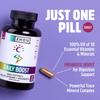 Zhou Nutrition Daily Boost Multivitamin with Probiotic, Zinc, Vitamin C, D3, B Complex for Immune Support, Energy and Digestive Health | Vegan, Gluten Free, Soy Free | 60 Servings view 3