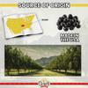 Ozark Nut Roasters Dark Chocolate Espresso Beans 4oz view 4