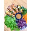 Natureland Brown Rice Paper (Large 8.5 in) Vegan Roll Low Carb Rice Paper For Spring Roll Wrappers Gluten Free Dumpling & Won Ton Wrappers, and Natureland Green Tea & Kopi Luwak Coffee Beans view 4