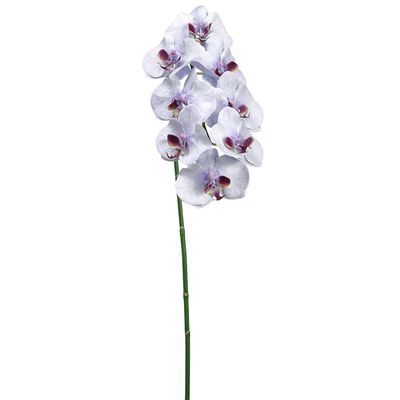 SilksAreForever 40" Hand-Wrapped Phalaenopsis Orchid Silk Flower Stem -White/Purple (Pack of 6)