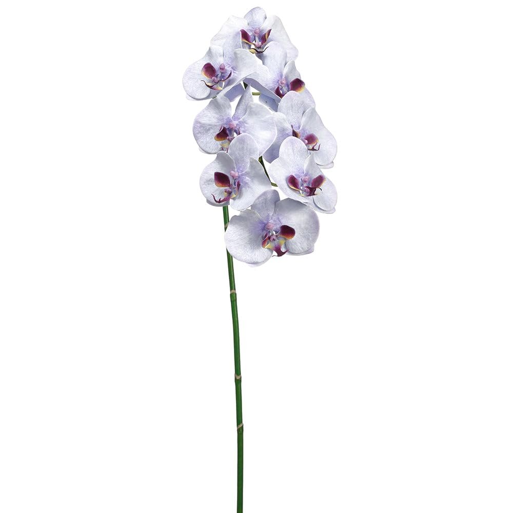 SilksAreForever 40" Hand-Wrapped Phalaenopsis Orchid Silk Flower Stem -White/Purple (Pack of 6)