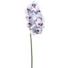 SilksAreForever 40" Hand-Wrapped Phalaenopsis Orchid Silk Flower Stem -White/Purple (Pack of 6) view 1