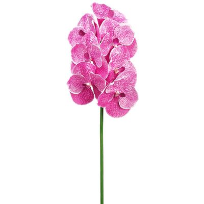 SilksAreForever 33" Hand-Wrapped Vanda Orchid Silk Flower Stem -Orchid (Pack of 6)