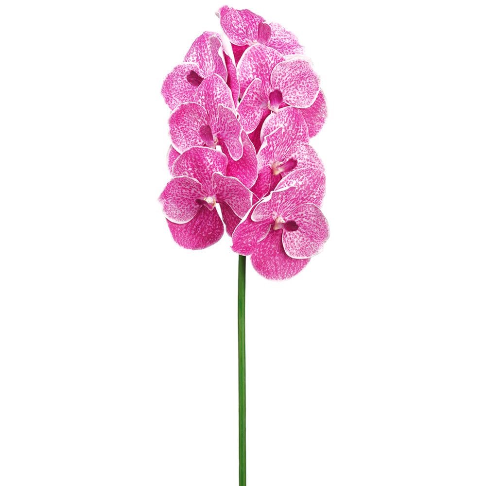 SilksAreForever 33" Hand-Wrapped Vanda Orchid Silk Flower Stem -Orchid (Pack of 6)