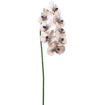 SilksAreForever 40" Hand-Wrapped Phalaenopsis Orchid Silk Flower Stem -Peach/Black (Pack of 6)