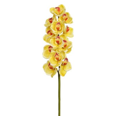 SilksAreForever 30" Hand-Wrapped Cymbidium Orchid Silk Flower Stem -Yellow (Pack of 12)
