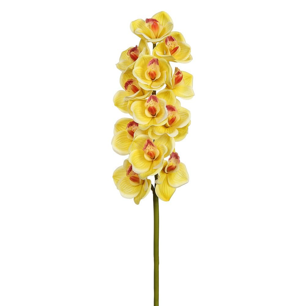 SilksAreForever 30" Hand-Wrapped Cymbidium Orchid Silk Flower Stem -Yellow (Pack of 12)