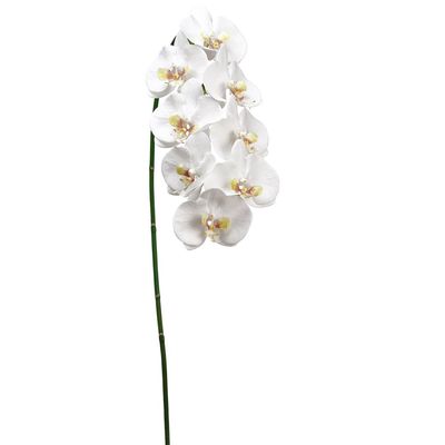 SilksAreForever 40" Hand-Wrapped Phalaenopsis Orchid Silk Flower Stem -White/Yellow (Pack of 6)