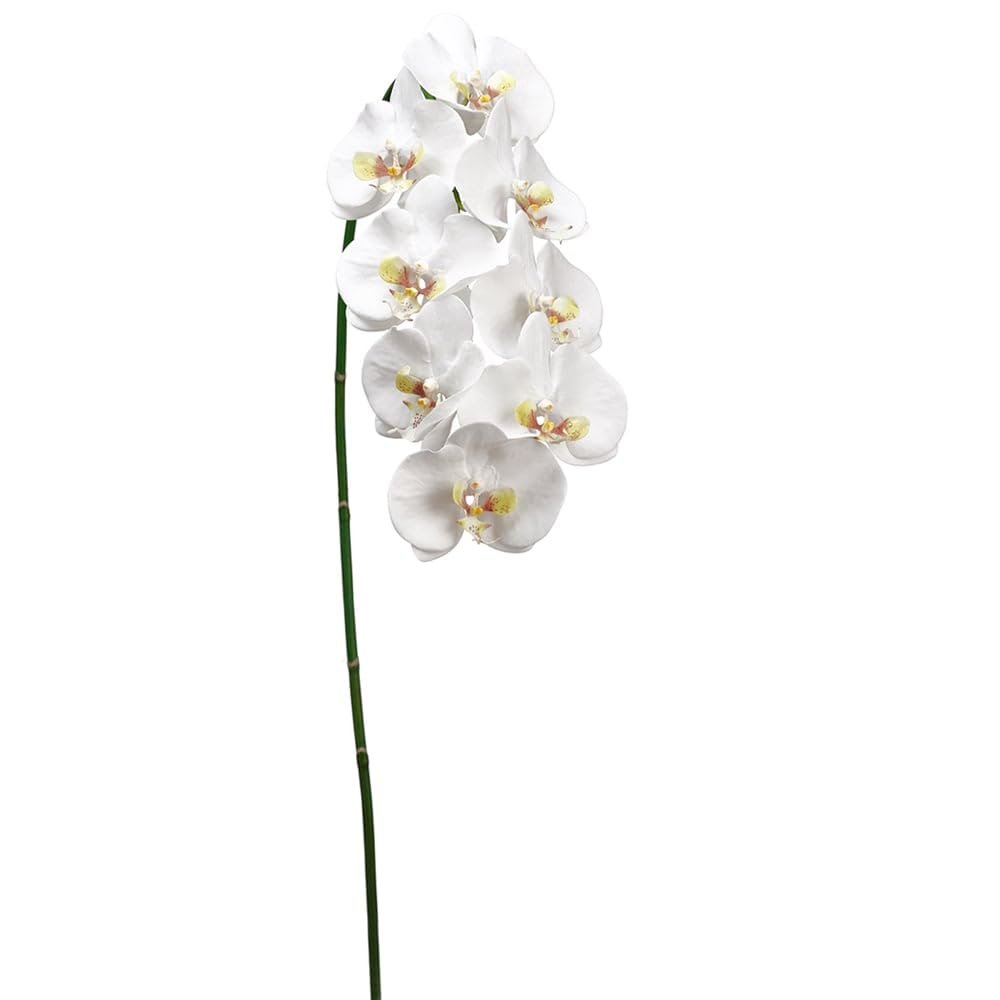 SilksAreForever 40" Hand-Wrapped Phalaenopsis Orchid Silk Flower Stem -White/Yellow (Pack of 6)