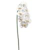 SilksAreForever 40" Hand-Wrapped Phalaenopsis Orchid Silk Flower Stem -White/Yellow (Pack of 6) view 1