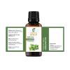 Bulk Essential Oils by Sheer Essence  16 Oz Therapeutic Grade Uncut & Undiluted Oil in Aluminium Bottle - 1 Pound 100% Pure Essential Oil for Aromatherapy, Blends and DIY (Oregano) view 2