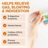 Zenwise Health No Bloat Probiotics for Women and Men Digestive Health with Ginger, Dandelion, and Lactase, Digestive Enzymes for Gas and Bloating Relief - Vegan Water Retention Pills - 14 CT view 4