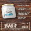 Carlyle Grass Fed Collagen Peptides Powder 20oz | Unflavored | Pasture Raised | Types I & III | 20g of Collagen Per Daily Dose | Non-GMO, Gluten Free | by Herbage Farmstead view 4