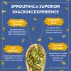 Go Raw Organic Sprouted Sea Salt & Pepper Snacking Seeds, 4 oz, 6 Pack, Pumpkin & Sunflower Seeds, Keto, Kosher view 4
