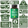 Tongkat Ali + Fadogia Agrestis 2-in-1 T Supplement for Men. Ultra High Strength Tongkat-Ali Longjack Extract + Fadogia Agrestis Extract. Vegan Capsules. Support Natural Energy. USA Tested Pills view 3