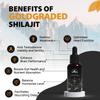 PakShilajit Sun Dried Himalayan Shilajit Liquid Drops, Most Premium & Organic Gold Graded Shilajit Drops Above 17000FT (30ML Pack), Rich in Fulvic Acid Humic Acid Natural Supplement view 3
