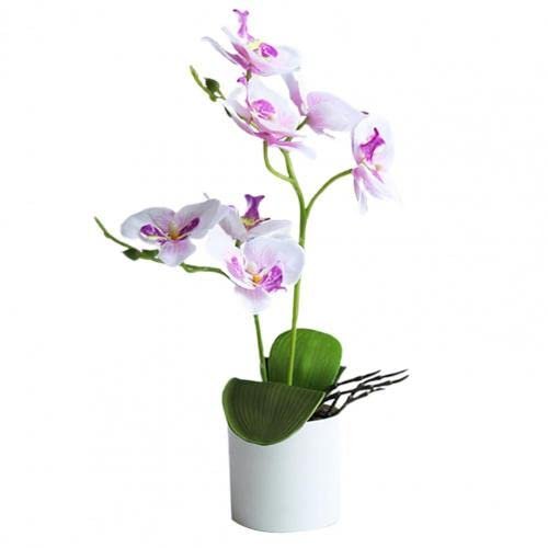 HXSCOO Artificial Bonsai Vivid Wear-Resistant No Withering Orchid Simulation Bonsai Flower for Garden (Color : Purple White)