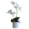 HXSCOO Artificial Bonsai Vivid Wear-Resistant No Withering Orchid Simulation Bonsai Flower for Garden (Color : Purple White) view 2