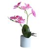 HXSCOO Artificial Bonsai Vivid Wear-Resistant No Withering Orchid Simulation Bonsai Flower for Garden (Color : Purple White) view 3