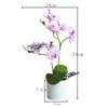 HXSCOO Artificial Bonsai Vivid Wear-Resistant No Withering Orchid Simulation Bonsai Flower for Garden (Color : Purple White) view 4