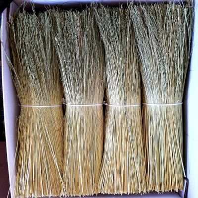 Broom Corn for Crafting and Broom Making 10 Pound Bundle 20" Length (Broom Corn)