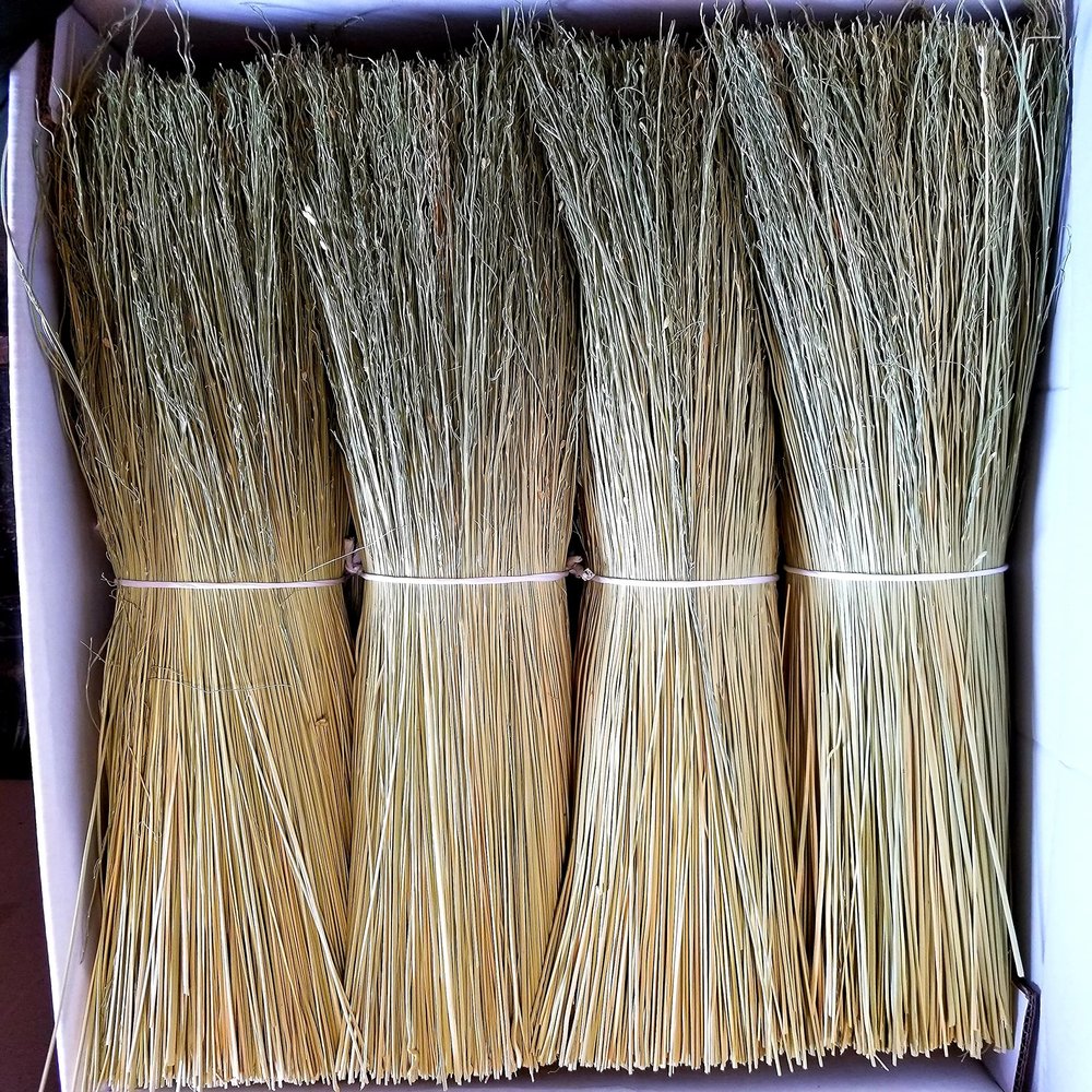 Broom Corn for Crafting and Broom Making 10 Pound Bundle 20" Length (Broom Corn)
