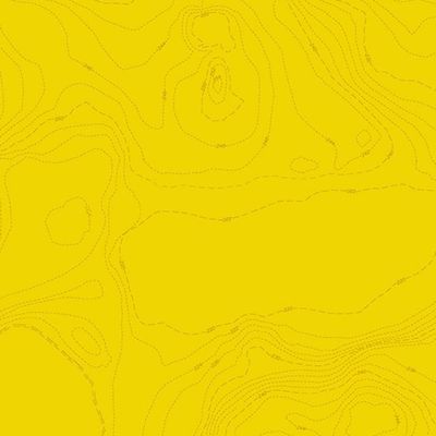 Andover Sun Print 2023 by Alison Glass A 556 Y Lemon Topography