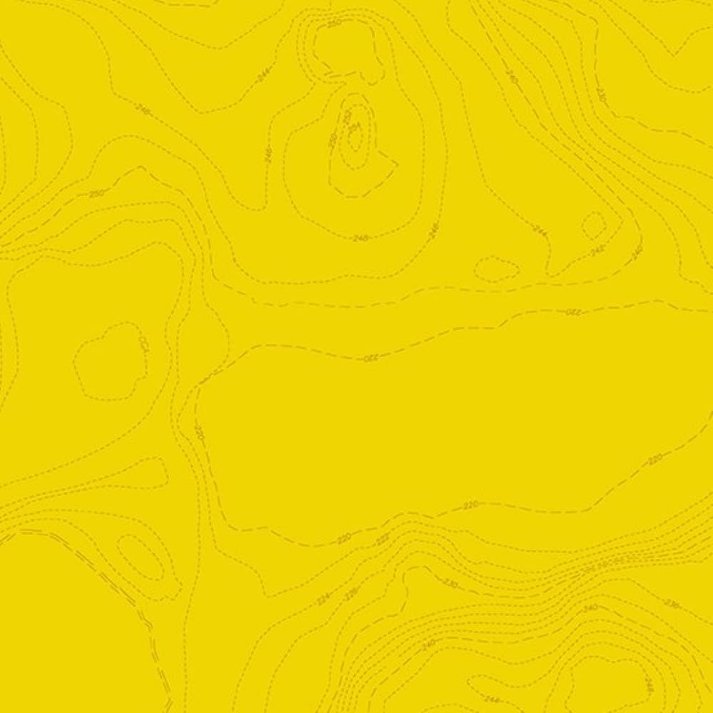 Andover Sun Print 2023 by Alison Glass A 556 Y Lemon Topography