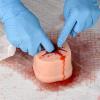 Medarchitect Wound Packing Task Trainer, Bleed Control Tourniquet Trainer, Basic Wound Packing Trainer for Medical Education view 3