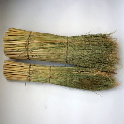 Craft Broom Corn with Stalks 24-36" Length