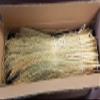 Craft Broom Corn with Stalks 24-36" Length view 2