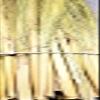 Craft Broom Corn with Stalks 24-36" Length view 3
