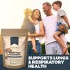 Tiger Milk Mushroom Supplement (Lignosus Rhinocerus) 3oz (85g) | Supports Lungs & Respiratory Health - Herbal Extract - Non-GMO, Vegan, Organic | 40 Servings view 4