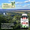 FITO MEDIC'S Lab - Black Walnut Hull, Pure - Black Walnut- 2000 mg per Serving, for Cleansing and Detoxifying, Ultra high Absorption. view 4