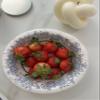 DHG PROFESSIONAL Pack of 42 Counts Beautifully Designed Blue Floral Paper Bowls - Luxury Disposable Tableware for any Occasion (20oz Bowl) view 3