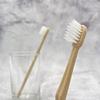 BLUEOWLSHIELD Coral Bamboo Toothbrushes - Soft - 100% Plant-Based Bamboo-Fiber Composite, Durable & Splinter Free, Fine BPA Free Bristles, 4 Individually Packaged Brushes - Adult, Teen, Children view 2