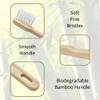 BLUEOWLSHIELD Coral Bamboo Toothbrushes - Soft - 100% Plant-Based Bamboo-Fiber Composite, Durable & Splinter Free, Fine BPA Free Bristles, 4 Individually Packaged Brushes - Adult, Teen, Children view 3