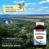 FITO MEDIC'S Lab - Nattokinase, Natto - 6000 FU of Enzyme per Serving, 150 Capsules, Ultra high Absorption. view 2